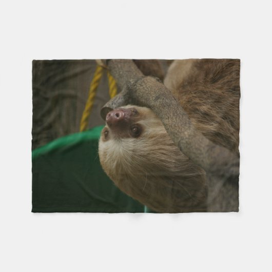 Couverture Polaire Sloth (Devant (Horizontal))