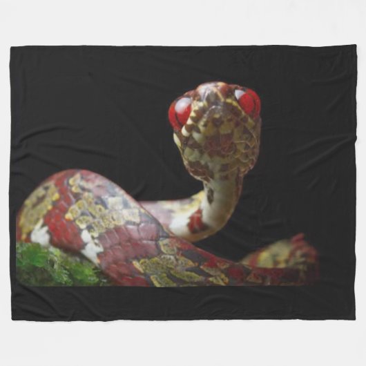 COUVERTURE POLAIRE SNAIL MANGER SNAKE (Devant (Horizontal))