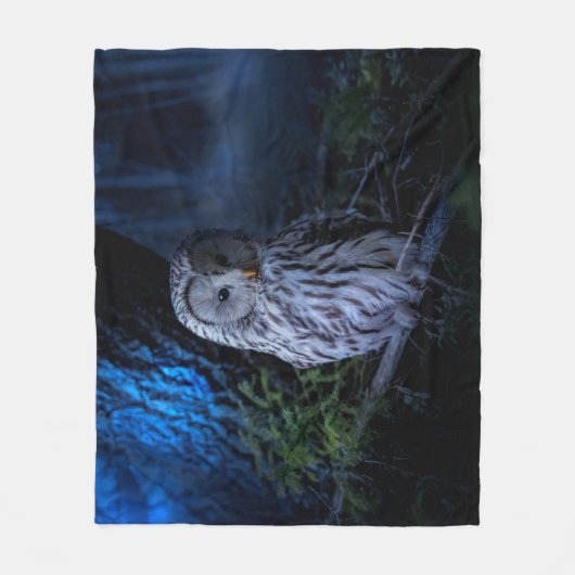 Couverture Polaire Snowy Owl (Devant)