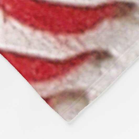 Couverture Polaire Softball (Coin)