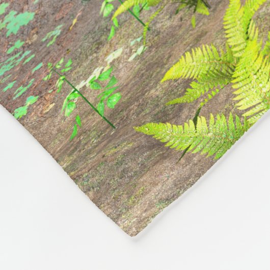 Couverture Polaire Spinosaure dinosaure (Coin)