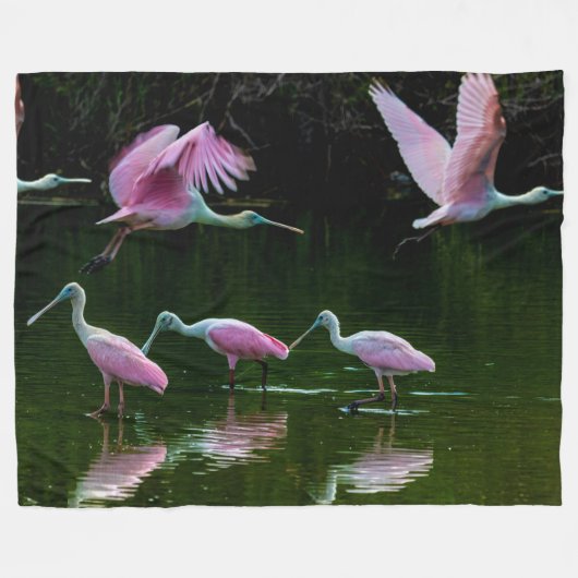 COUVERTURE POLAIRE SPOONBILL CRANE (Devant (Horizontal))