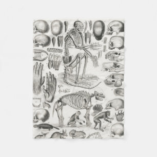 Couverture Polaire Squelette animal noir et blanc Mammalia