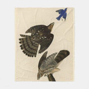 Couverture Polaire Stanley (Cooper's) Hawk Audubon's Birds of America