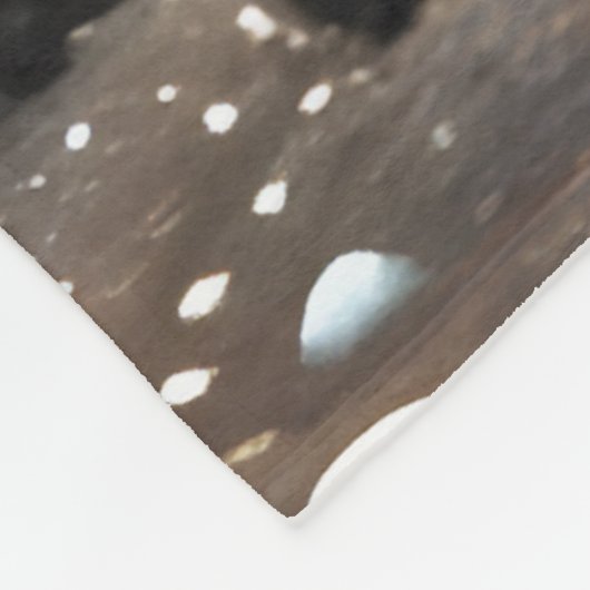 Couverture Polaire Starry Starry Night Storybook Fox (Coin)