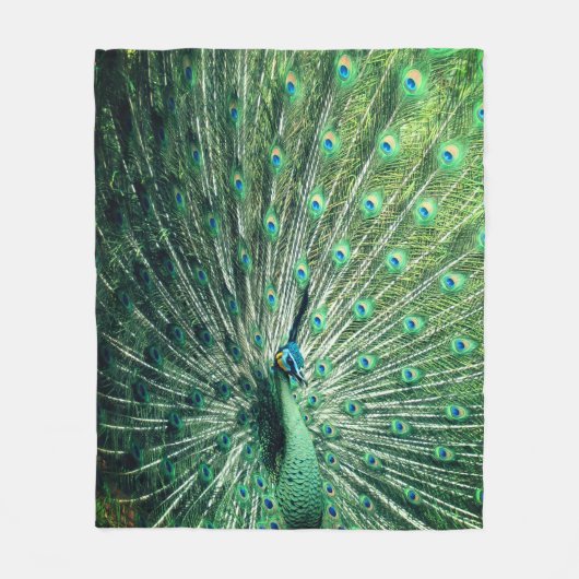 Couverture Polaire Strut Peacock (Devant)