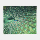 Couverture Polaire Strut Peacock (Devant (Horizontal))