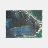 Couverture Polaire Stylo friésien de beauté noire (Devant (Horizontal))