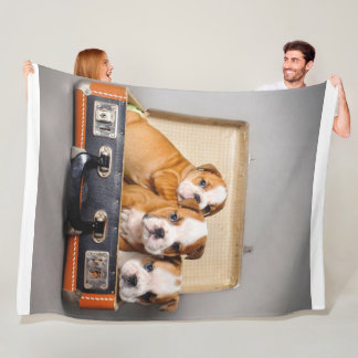 Couverture Polaire Superbes chiots Bulldog | AMOUREUX DES CHIENS