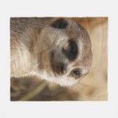 Couverture Polaire Suricate 041 (Devant (Horizontal))