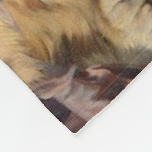 Couverture Polaire Symphonie de Kitten par Julius Adam II (Coin)