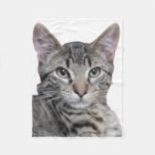 Couverture Polaire Tabby Kitten (Devant)