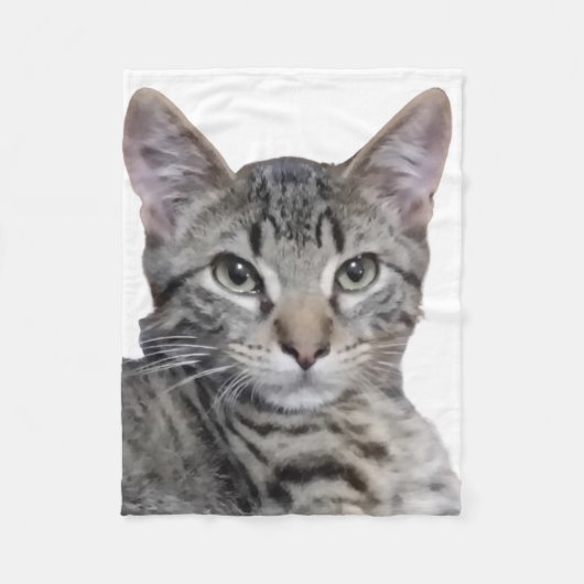 Couverture Polaire Tabby Kitten (Devant)
