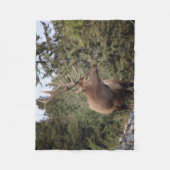 Couverture Polaire Taureau De Jasper (Devant)