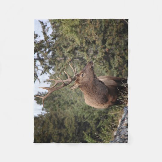 Couverture Polaire Taureau De Jasper (Devant)