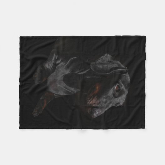 Couverture Polaire teckel noir (Devant (Horizontal))