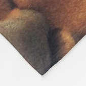 Couverture Polaire Temps de sommeil (Coin)