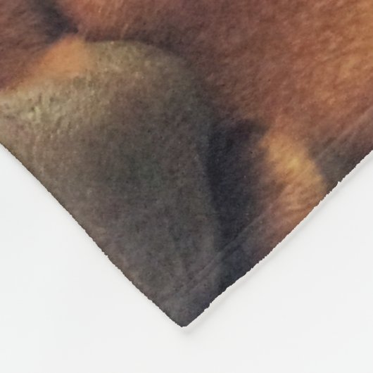 Couverture Polaire Temps de sommeil (Coin)