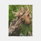 Couverture Polaire Tendre Mère Moose (Devant)