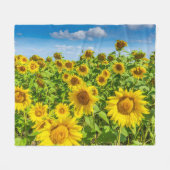 Couverture Polaire Terrain de tournesol, ensoleillé l'été. (Devant (Horizontal))