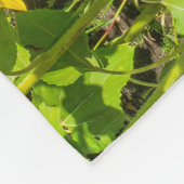 Couverture Polaire Terrain de tournesol, ensoleillé l'été. (Coin)