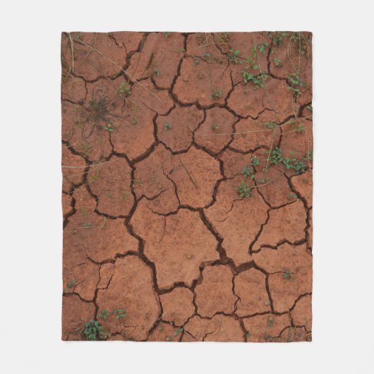 Couverture Polaire terrain sec et fissuré (Devant)