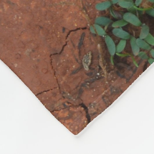 Couverture Polaire terrain sec et fissuré (Coin)