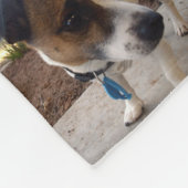 Couverture Polaire Terrier Minier Brown Et Blanc De Renard, (Coin)