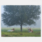 COUVERTURE POLAIRE TEXAS LONGUES CHEVAUX (Devant (Horizontal))