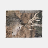 Couverture Polaire The King's Deer of Richmond Park, Londres, Royaume (Devant (Horizontal))
