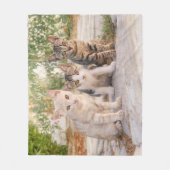 Couverture Polaire Three young cute cat kittens sit friendly together (Devant)