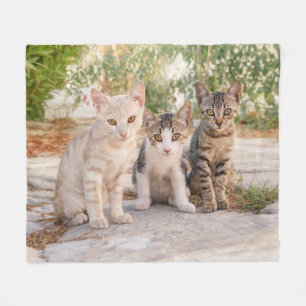 Couverture Polaire Three young cute cat kittens sit friendly together