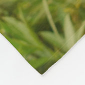 Couverture Polaire Three young cute cat kittens sit friendly together (Coin)