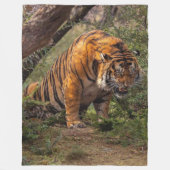 COUVERTURE POLAIRE TIGER (Devant)