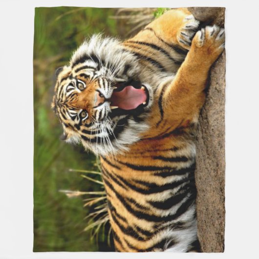 COUVERTURE POLAIRE TIGER (Devant)