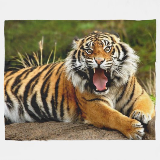 COUVERTURE POLAIRE TIGER (Devant (Horizontal))