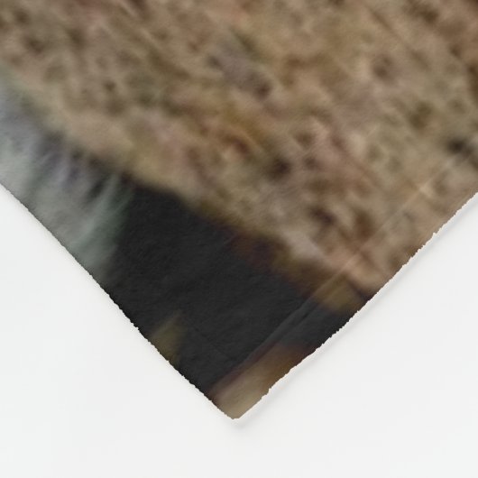 COUVERTURE POLAIRE TIGER (Coin)