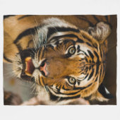 COUVERTURE POLAIRE TIGER (Devant (Horizontal))