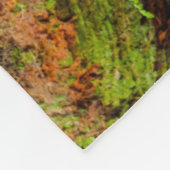 Couverture Polaire Tiger | Issaquah, État de Washington (Coin)