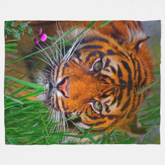 Couverture Polaire Tigre (Devant (Horizontal))