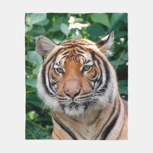 Couverture Polaire Tigre 001 (Devant)