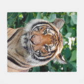 Couverture Polaire Tigre 001 (Devant (Horizontal))