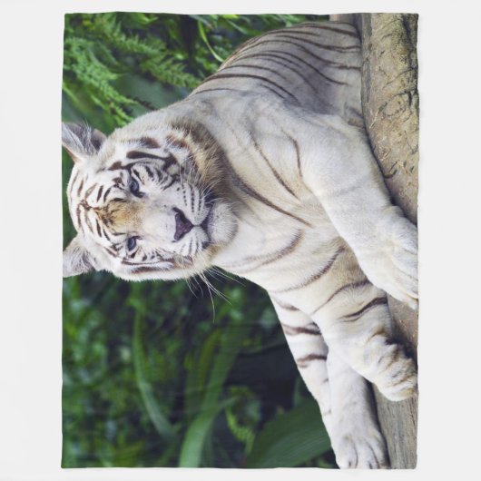 Couverture Polaire Tigre blanc 1 (Devant)