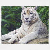 Couverture Polaire Tigre blanc 1 (Devant (Horizontal))