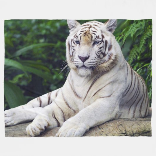Couverture Polaire Tigre blanc 1 (Devant (Horizontal))