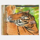 Couverture Polaire Tigre couchant (Devant (Horizontal))