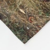 Couverture Polaire Tigre de Bengale (Coin)