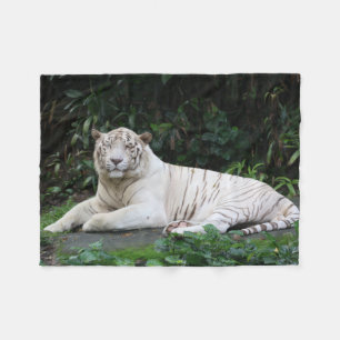 Couverture Polaire Tigre de Bengale noir et blanc détendu et sourire