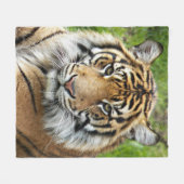 Couverture Polaire Tigre de Sumatran (Devant (Horizontal))