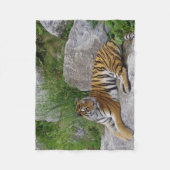 Couverture Polaire Tigre sur un rocher (Devant)